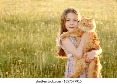 Portrait Little Girl With A Red Cat On Her Hands. Best Friends. Interaction Of Children With Pets. Positive Human Emotions, Expression, Feelings.