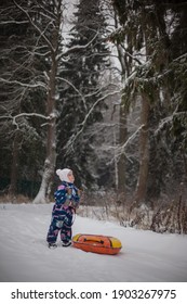 Portrait of a little girl in a snowy forest