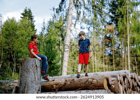 Portrait of little school kids boys climbing and walking in forest. Happy children, best friends and siblings having fun on warm sunny day early autumn. Twins and family, nature and active leisure.