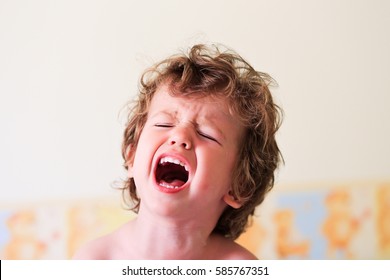 Portrait Of A Little Toddler Screaming. Upset Baby Boy Kid Crying. Shouting.