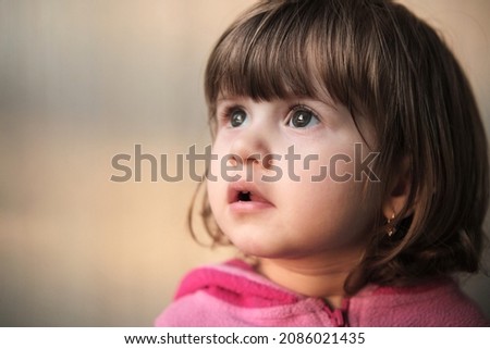 Similar – Image, Stock Photo left Small Love of animals