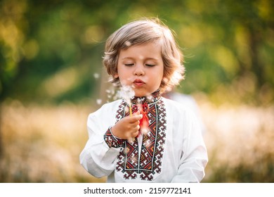 Portrait of little ukrainian boy with dandelion in spring garden. Child in traditional embroidery vyshyvanka shirt. Ukraine, freedom, national costume, happy childhood and future concept - Shutterstock ID 2159772141