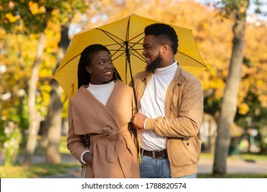 Portrait of loving african american couple under umbrella in autumn park, selective focus