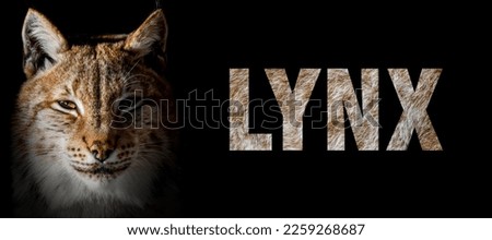 Portrait of lynx with a name on a black background. The text is from her fur