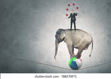 Portrait of a male manager juggling with many red balls while standing above circus elephant