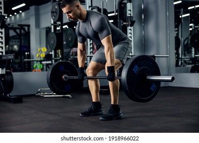 A portrait of a male weightlifter in grey sportswear. He does barbell fitness workout in the modern gym. Weightlifting, power lifting training, sports lover