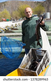 Portrait Of Man Fish Farm Worker Catching Sturgeon At Pool