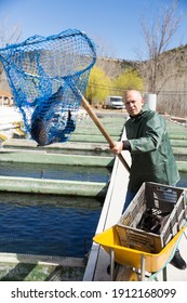 Portrait Of Man Fish Farm Worker Catching Sturgeon At Pool