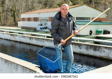 Portrait Of Man Fish Farm Worker Catching Sturgeon At Pool