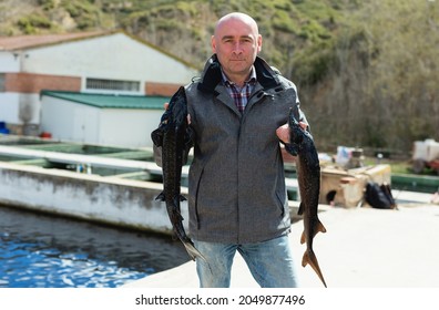 Portrait Of Man Fish Farm Worker Demonstrating Sturgeon