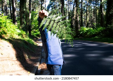 Portrait Of A Man With A Hat And Texan Clothes Covering His Face With A Fern Leaf. Fashion Concept