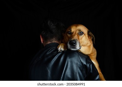 Portrait Of Man Owner Hugging His Lovely Golden Red Sad Dog Pup, Love Friendship Concept, Dark Black Background	
