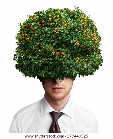 Image, Stock Photo shingled hair Plant