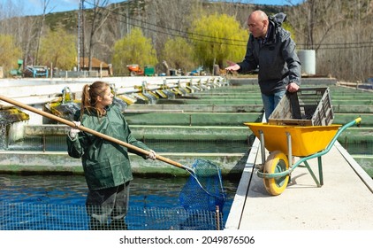 Portrait Of Man And Woman Catching With Net Sturgeon At Fish Farm