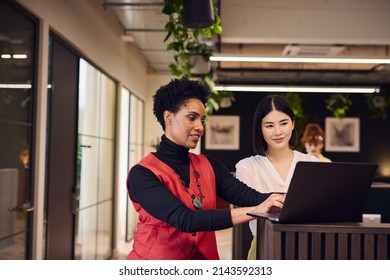 Portrait Of Mature Black Woman And Mid Adult Chinese Female Colleague Using Laptop In Open Plan Office Space