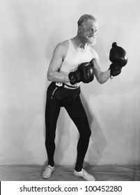 Portrait of mature boxer