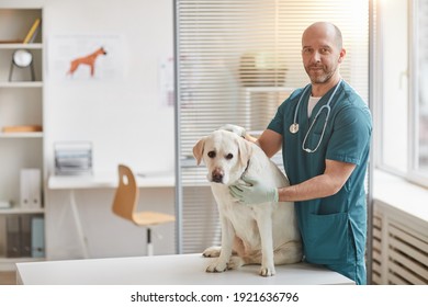 Portrait Of Mature Male Veterinarian Smiling At Camera While Posing With White Labrador Dog At Vet Clinic, Copy Space