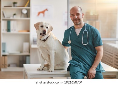 Portrait of mature male veterinarian smiling at camera while sitting on examination table with white Labrador dog at vet clinic, copy space - Shutterstock ID 1921650704