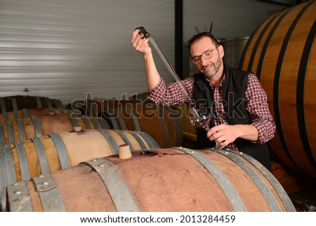 Portrait of a mature man oneologist tasting wine bottle in wine cellar with wooden barrel Foto stock © 
