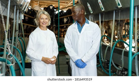 Portrait Of Mature Woman And African American Man Milkers At Dairy Farm