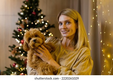 Portrait Of A Mature Woman On Christmas At Home Near The Christmas Tree, Holding A Small Maltipoo Dog In Her Hands, Looking At The Camera And Smiling.