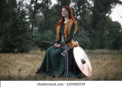 22,708 Viking Man Stock Photos, Images & Photography | Shutterstock