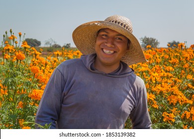 portrait of a Mexican farmer cultivating marigold flower (Tagetes erecta)