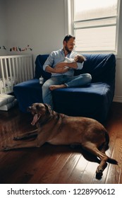 Portrait Of Middle Age Caucasian Father With Newborn Baby. Dog Pet Laying On Floor. Man Parent Holding Child In Hands. Authentic Lifestyle Documenatry Moment. Single Dad Family Life. 