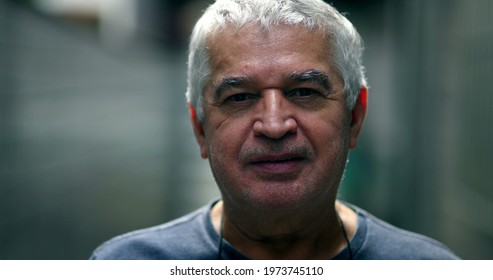 Portrait Middle-age Man Looking At Camera. Older 60 Year Old Person, Casual Natural