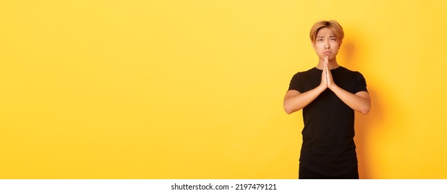 Portrait Of Miserable Asian Guy Pleading, Begging For Help, Standing Over Yellow Background