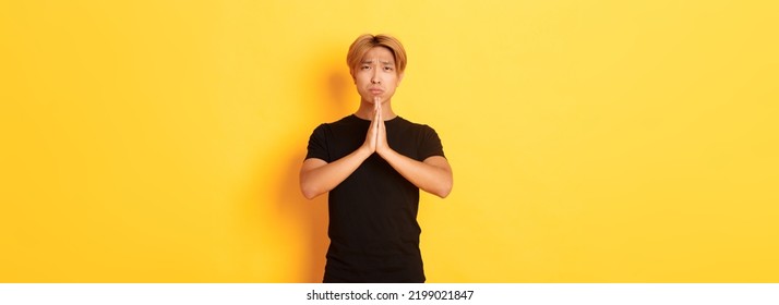 Portrait Of Miserable Asian Guy Pleading, Begging For Help, Standing Over Yellow Background