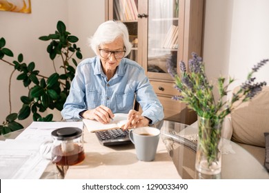 Portrait of modern senior woman filling tax forms sitting at table at home in sunlight, copy space