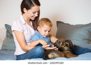 Portrait of mother and baby with their pet dog  (real family).