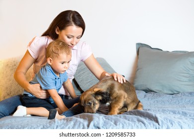 Portrait of mother and baby with their pet dog (real family).