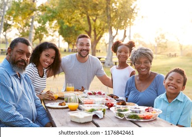 6,901 Black family picnic Images, Stock Photos & Vectors | Shutterstock