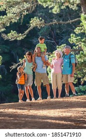 Portrait Of Multigeneration Of A Family On A Walk In The Forest