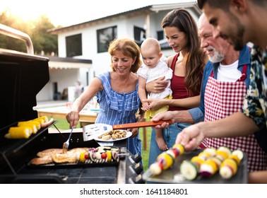 Portrait of multigeneration family outdoors on garden barbecue, grilling. - Shutterstock ID 1641184801