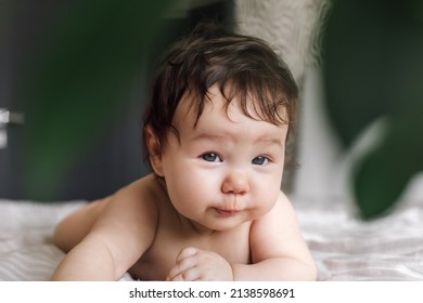 Portrait Naked Baby Crawling On Bed Stock Photo 2138598691 Shutterstock