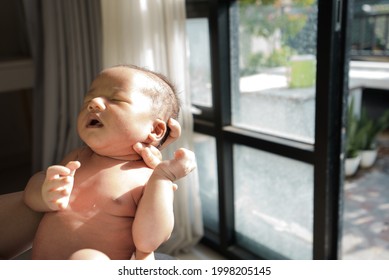 Portrait Of New Born Baby Sun Bathing Under The Morning Sun At Home Next To Window