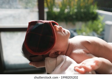 Portrait Of New Born Baby Sun Bathing Under The Morning Sun At Home Next To Window