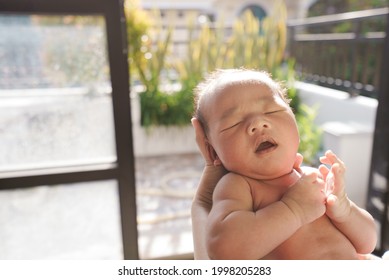 Portrait Of New Born Baby Sun Bathing Under The Morning Sun At Home Next To Window