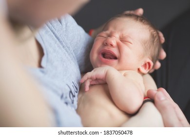 Portrait of a newborn 2 weeks old in the hands of parents. The boy is crying. Colic in the tummy. Pregnancy, motherhood, preparation and expectation of motherhood, the concept of child birth.
