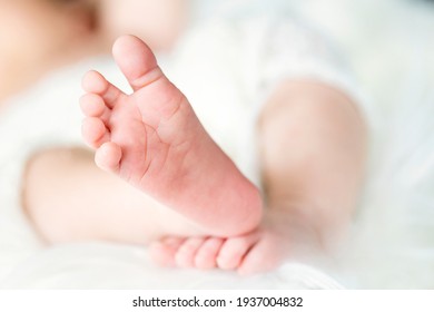 Portrait of a newborn baby boy. High quality photo