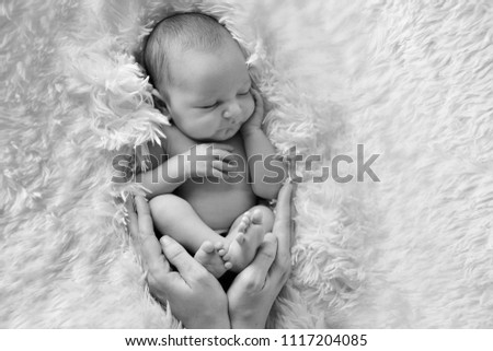 Similar – Newborn baby awake on a blanket