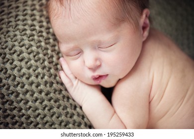 Portrait of Newborn Baby Sleeping on Hand