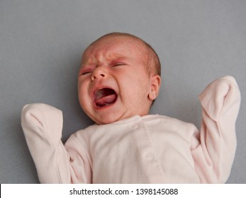 Newborn Crying Baby Boy New Born Stock Photo 340818158 | Shutterstock