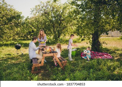 Portrait Of Nice Attractive Adorable Careful Affectionate Idyllic Cheery Full Big Family Small Little Brother Sister Enjoying Bbq In Fresh Air Spending Free Spare Time Weekend Rest Relax Pastime