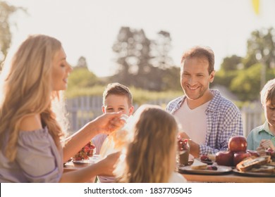 Portrait Of Nice Attractive Beautiful Cheerful Family Mom Mommy Daddy Dad Brother Sister Spending Time Sunny Day On Fresh Air Eating Lunch Rest In Green Park Backyard Summertime Spring