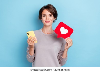 Portrait of nice cute pretty girl brown hair dressed gray pullover telegram instagram twitter facebook isolated on blue color background