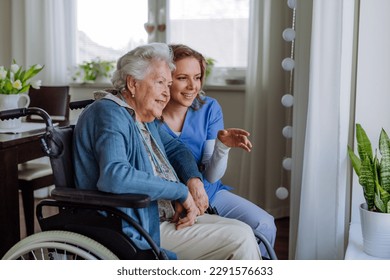 Portrait of nurse and her senior client on wheelchair looking out of window.